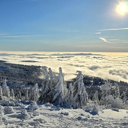 Lindberg Apartment Am Nationalpark Bayerwald מראה חיצוני תמונה
