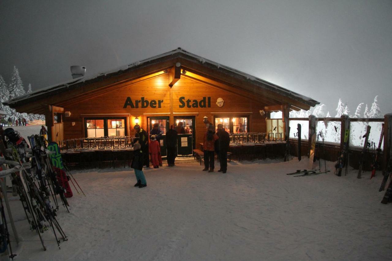 Lindberg Apartment Am Nationalpark Bayerwald מראה חיצוני תמונה